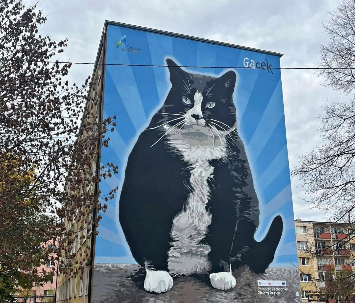 Kot Gacek ma swój mural w Szczecinie