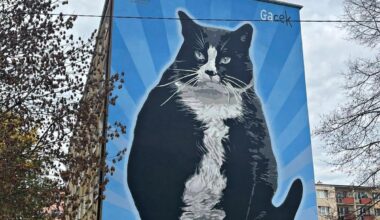 Kot Gacek ma swój mural w Szczecinie