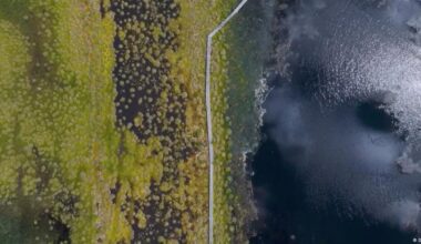 Latvia's climate-friendly solution to defend against Russia – DW – 11/18/2025