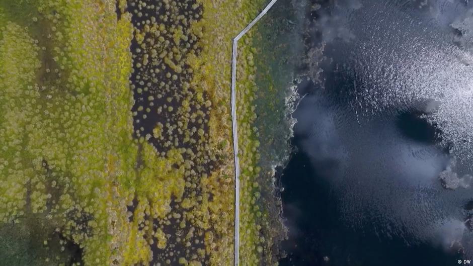 Latvia's climate-friendly solution to defend against Russia – DW – 11/18/2025