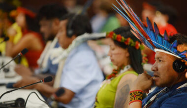 «COP», ce multilatéralisme qui avance sans transformer