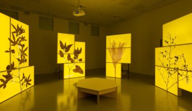 Radha D’Souza and Jonas Staal: Court for Intergenerational Climate Crimes - Announcements