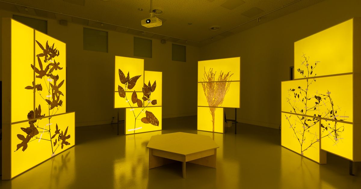 Radha D’Souza and Jonas Staal: Court for Intergenerational Climate Crimes - Announcements