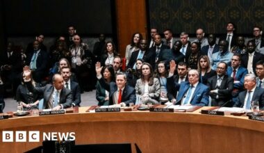 UN Security Council backs Trump plan for Gaza