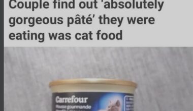 Je traduit de l'anglois caca : "Un couple découvre que le « pâté absolument délicieux » qu'ils mangeaient était en fait de la nourriture pour chats." Une autre façon de donner sa langue au chat