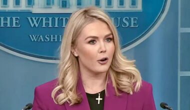 In Peak Irony, White House Accuses Democrats of Hiding Epstein Files They Want Released