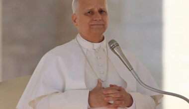 Pope Leo XIV asks the AI industry to 'cultivate moral discernment'