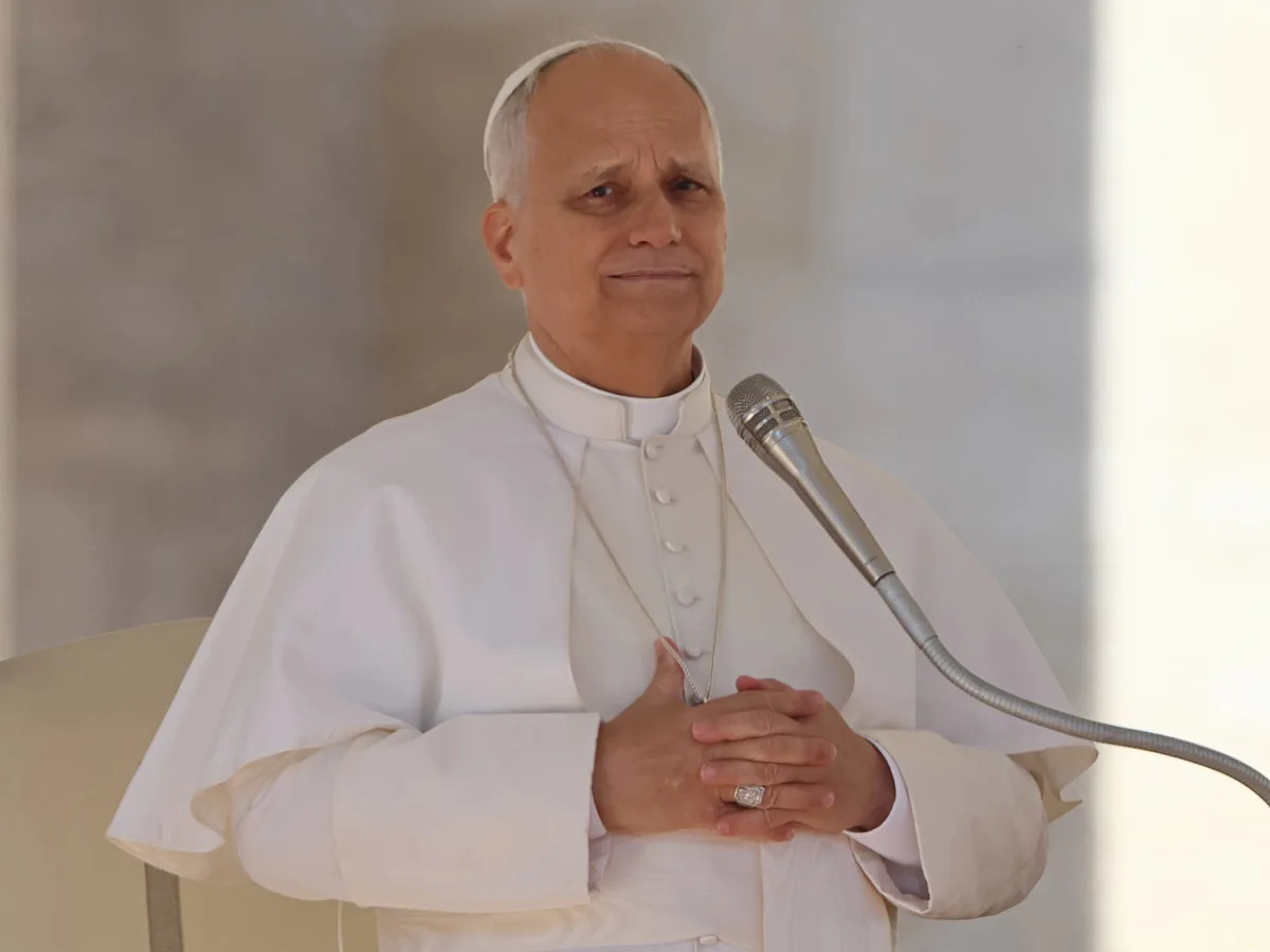 Pope Leo XIV asks the AI industry to 'cultivate moral discernment'