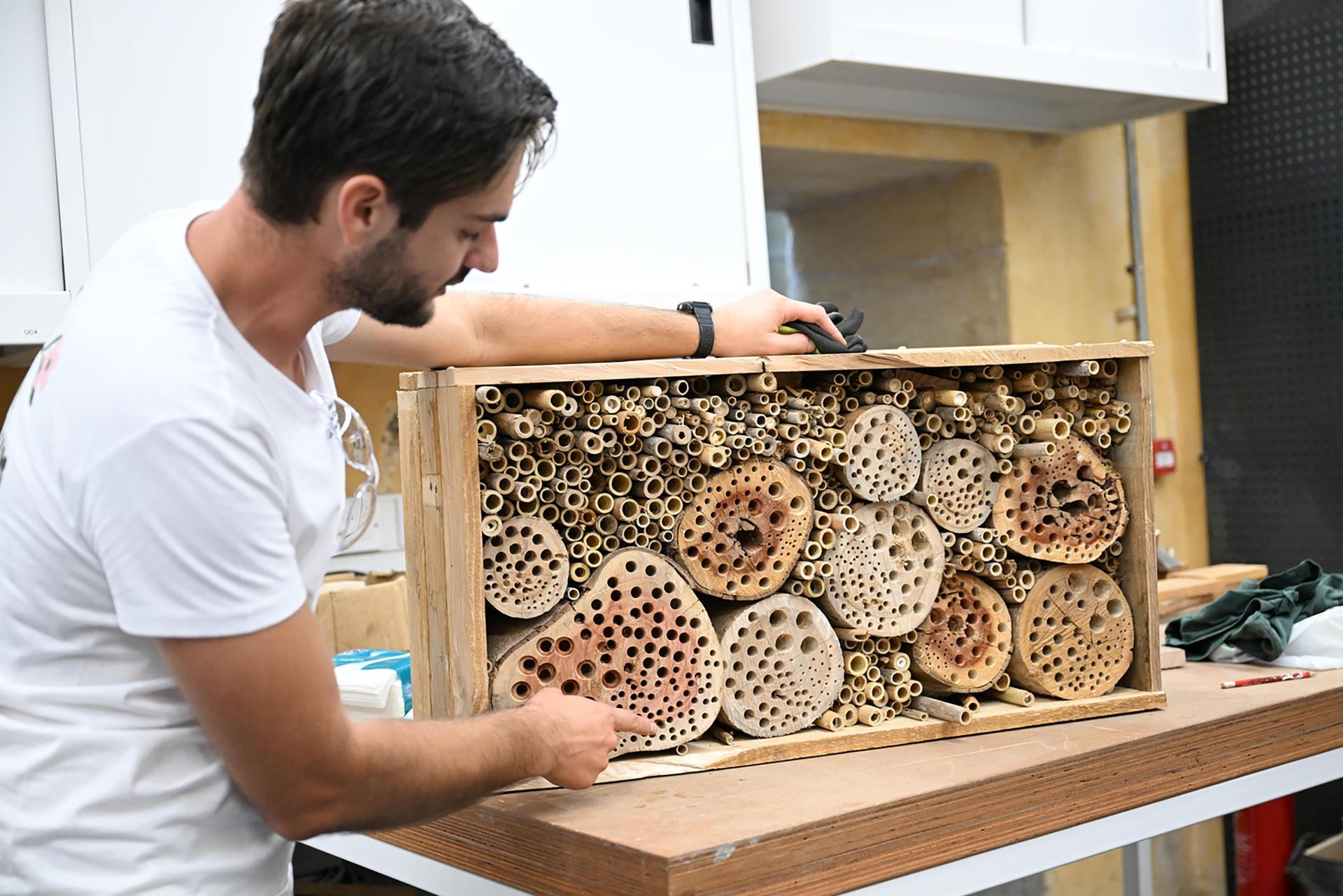 A central feature of the project is the construction of bee hotels.