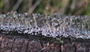 Wie auf einem Alien-Planeten