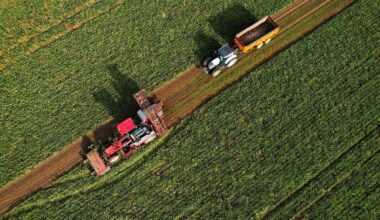 'You Cannot Treat Our Farmers Like This in Britain': Tax-Protesting Farmers Bring Tractors to the Streets, Get Arrested