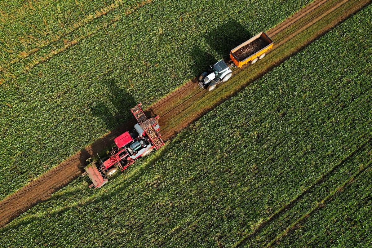 'You Cannot Treat Our Farmers Like This in Britain': Tax-Protesting Farmers Bring Tractors to the Streets, Get Arrested