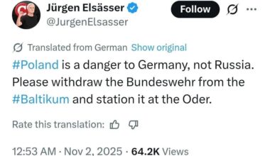 Peak AfD germany Moment