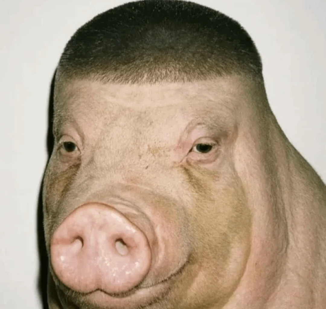 Average Polish male living in Germany.