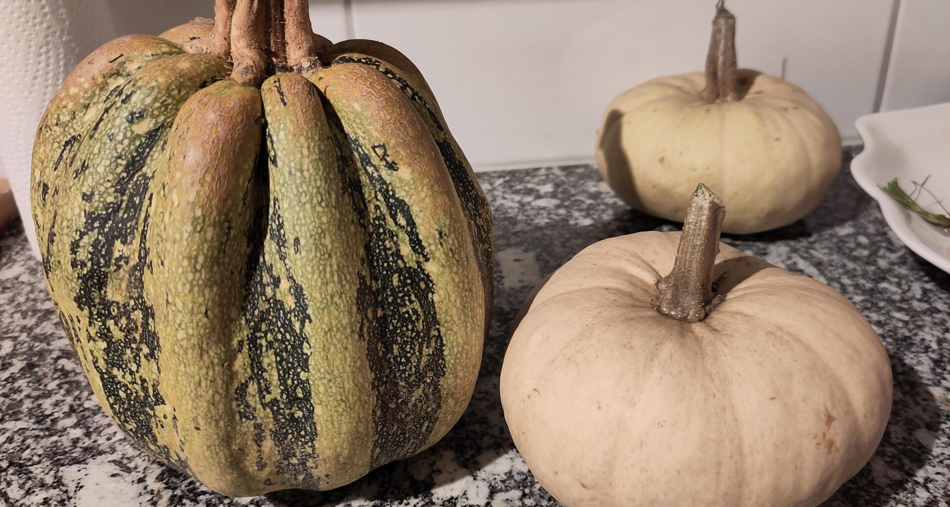 Selbst gezogene Kürbisse. Aber keine Ahnung was für eine Sorte. Weiss das jemand?