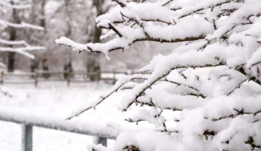 Paris, Normandie, Ardennes... Les prévisions s'ajustent