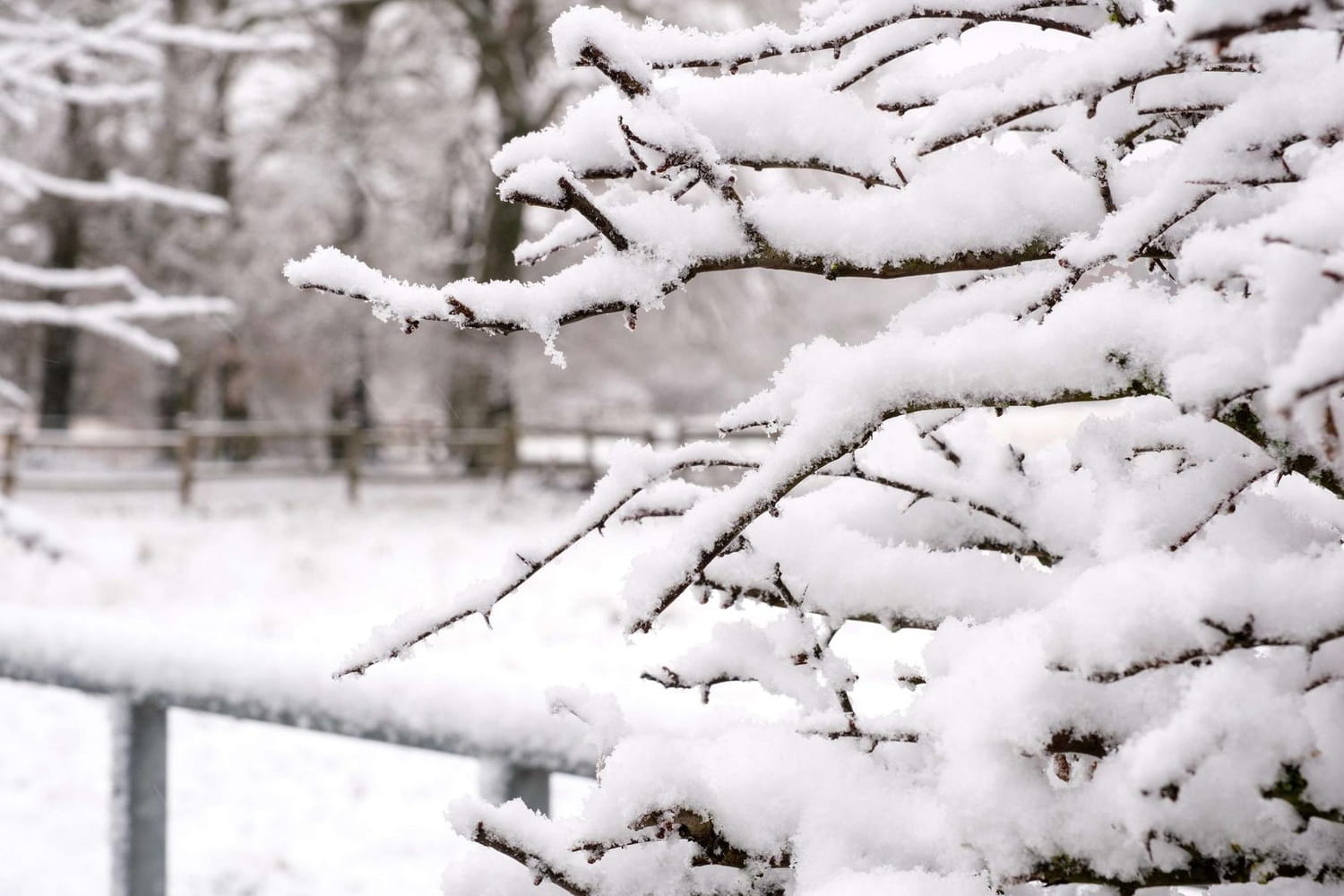 Paris, Normandie, Ardennes... Les prévisions s'ajustent