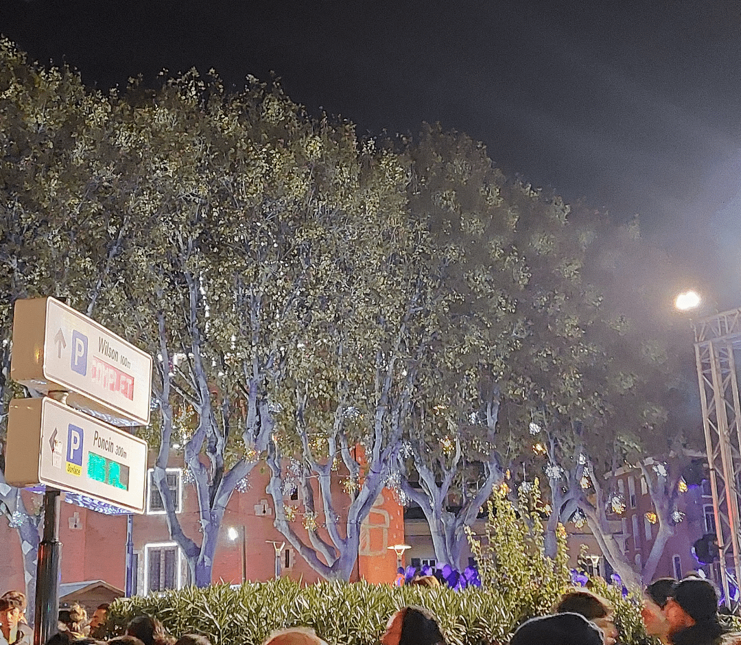 La texture des platanes à Perpignan...