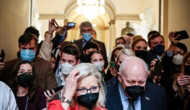 Cheney fought Democrats over Iraq before joining them against Trump