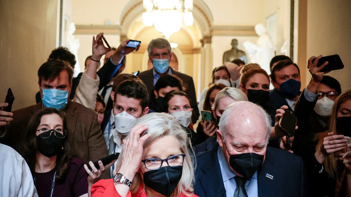 Cheney fought Democrats over Iraq before joining them against Trump