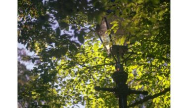 The UK in the latter half of 2025 through my lens