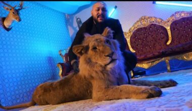 Manelistul Dani Mocanu a fost condamnat definitiv la 4 ani cu executare pentru tentativă de omor