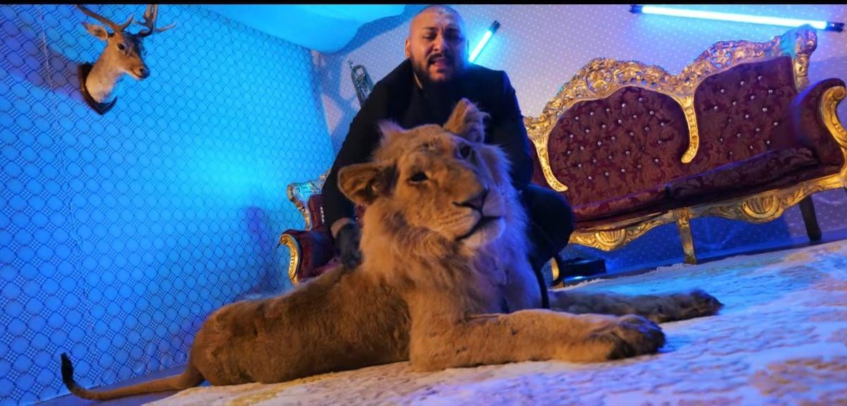 Manelistul Dani Mocanu a fost condamnat definitiv la 4 ani cu executare pentru tentativă de omor