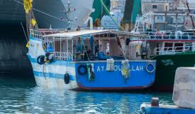 Malta secures action against 21 vessels for illegal lampuki fishing