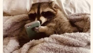 Everyone needs the reminder