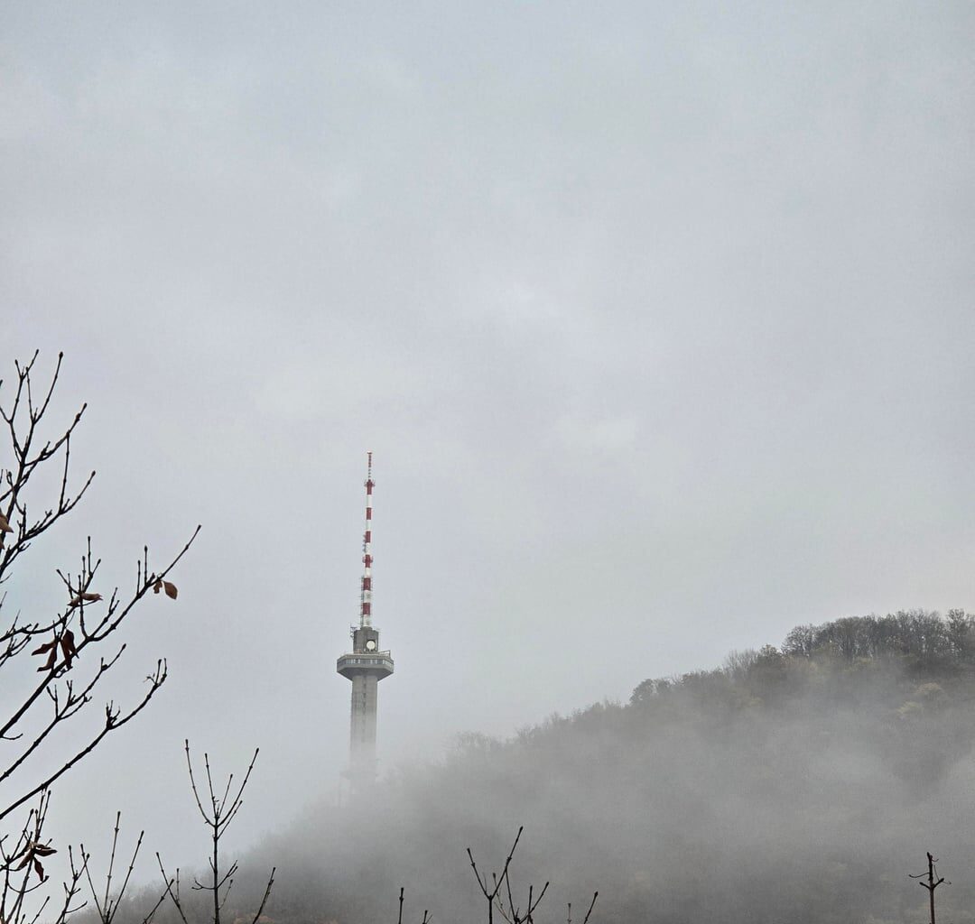 Honest opinion about these photos?