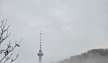 Honest opinion about these photos?