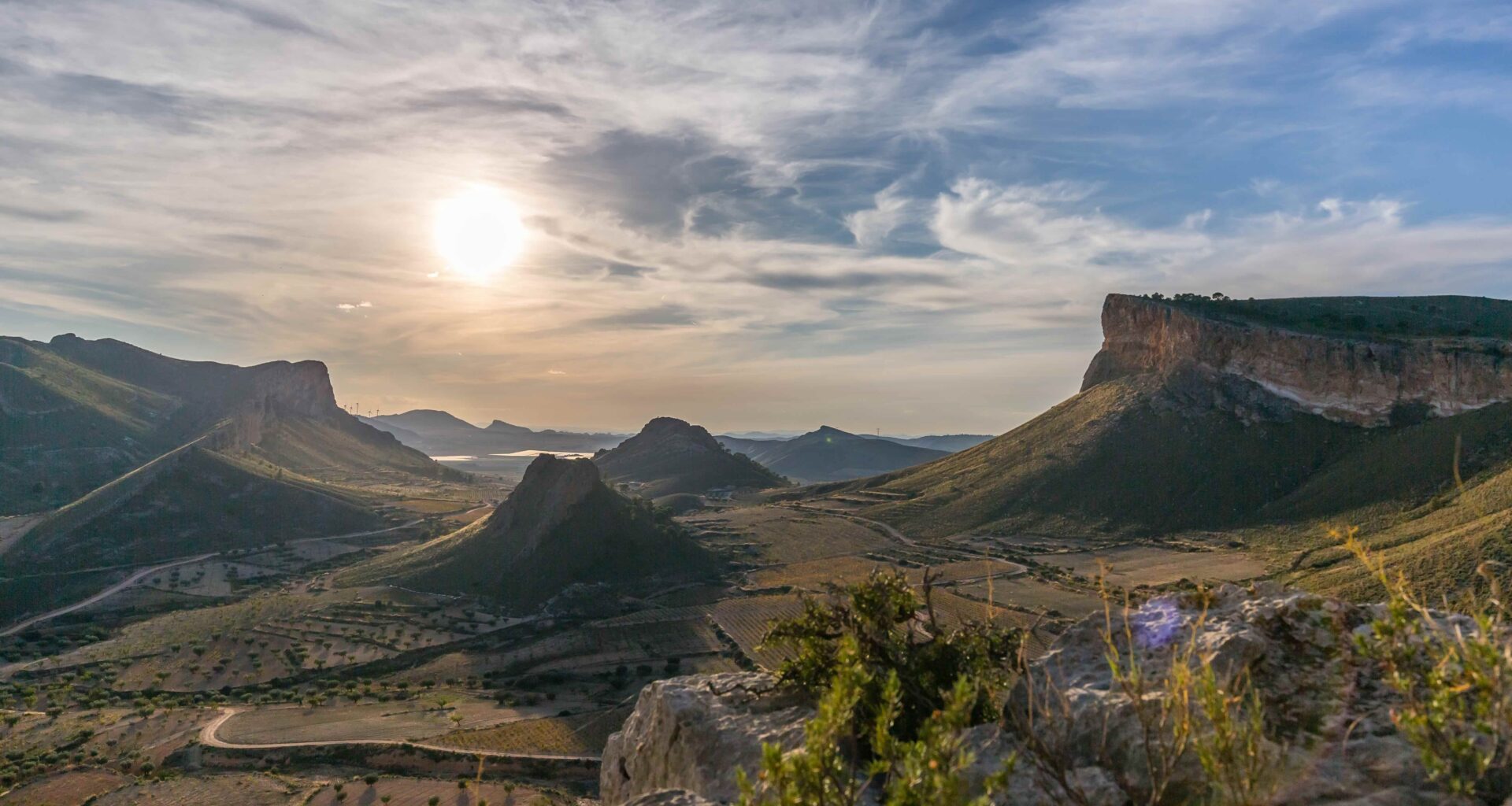 What Spain's fast growing Murcia region can offer UK wine buyers