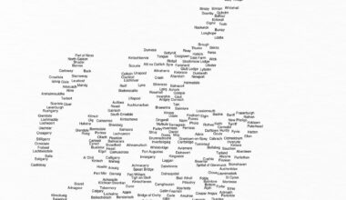 [OC] I made a typographic map of Scotland using the names of its cities, towns, and villages.