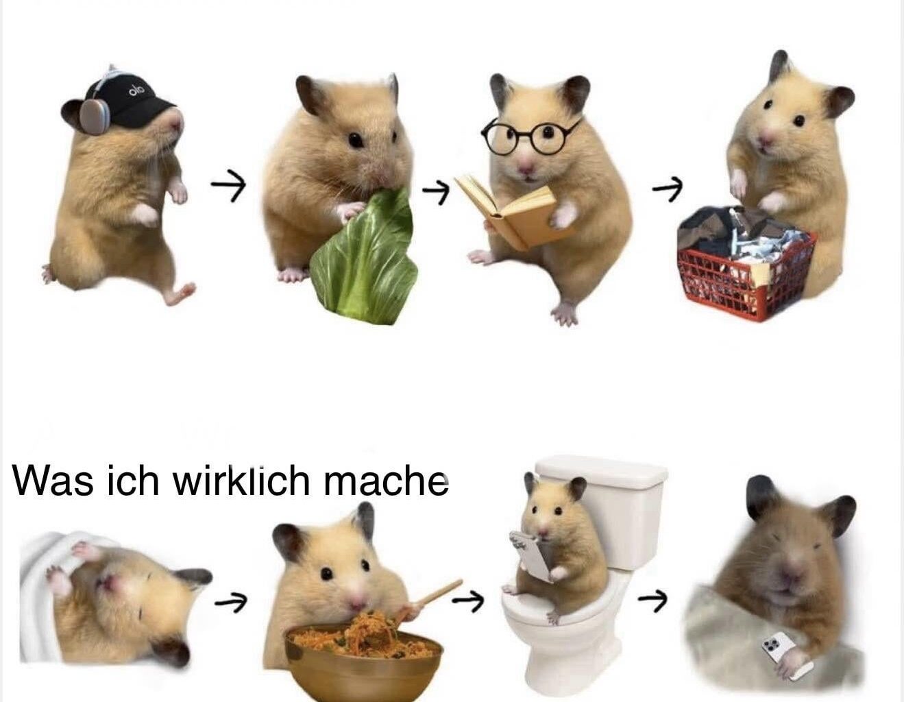 Ich🦥iel