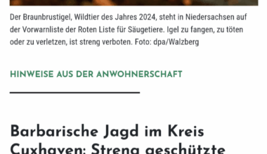 Passt auf, ob ihr Verdächtiges beobachtet - offensichtlich jagen Leute im Moment Igel 🙄