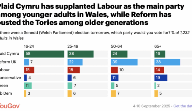 Voting intention by age
