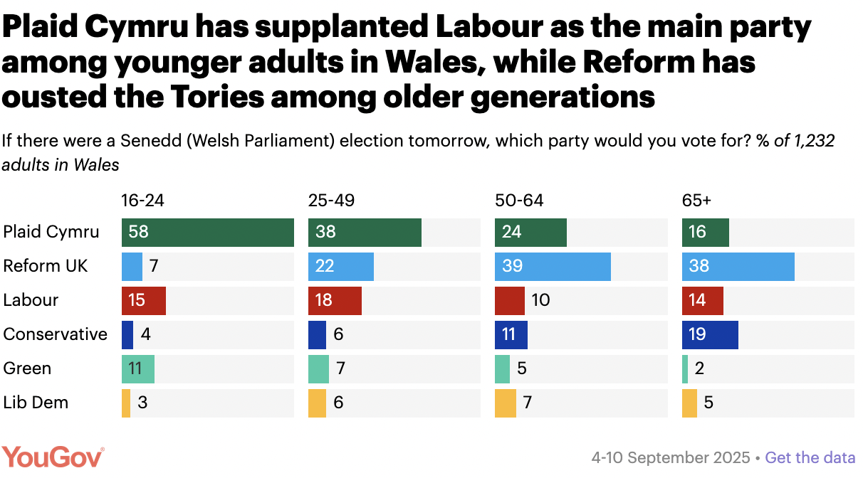 Voting intention by age