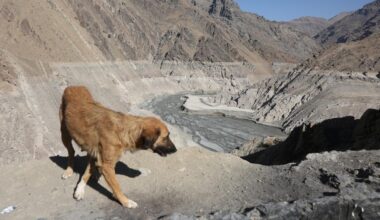 L’Iran, face à sa pire sécheresse depuis six décennies, envisage d’« évacuer Téhéran »