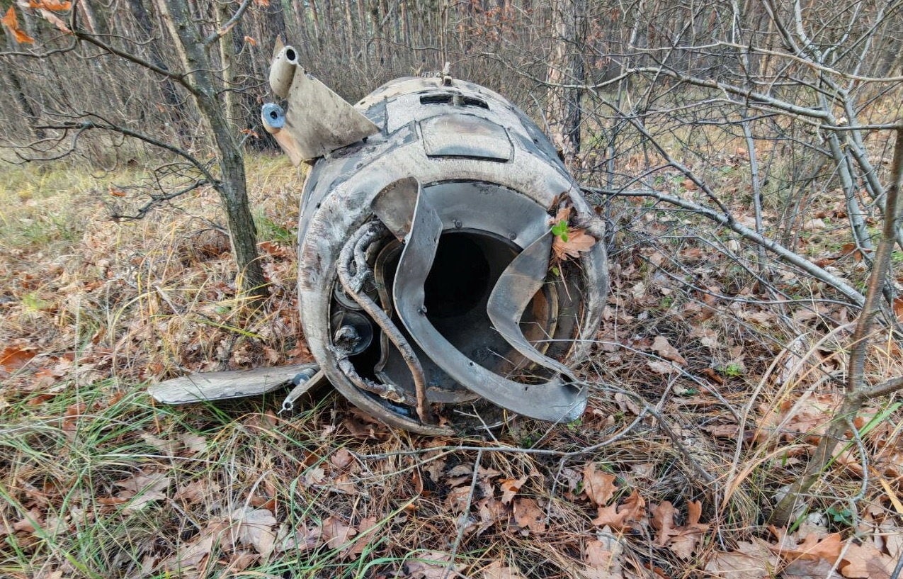 It was seen lying in a forest in an unidentified location in Voronezh region
