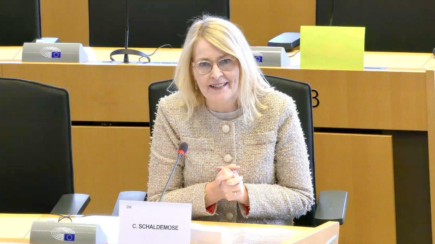 Euroopa Parlament võttis just vastu resolutsiooni alaealiste kaitse kohta internetis