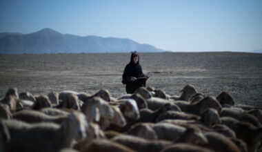 COP30 outcome: "Finance without emission cuts is like treating symptoms without curing the disease”