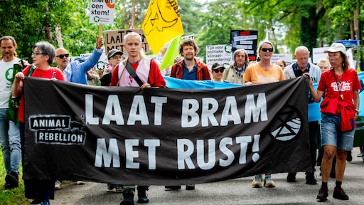 Protestmars tegen afschieten Bram, meer mensen willen juist van probleemwolf af