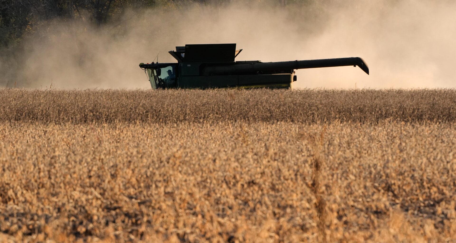 Trump tariffs put Minnesota soybean farmers at risk