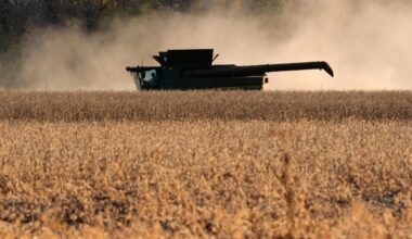 Trump tariffs put Minnesota soybean farmers at risk