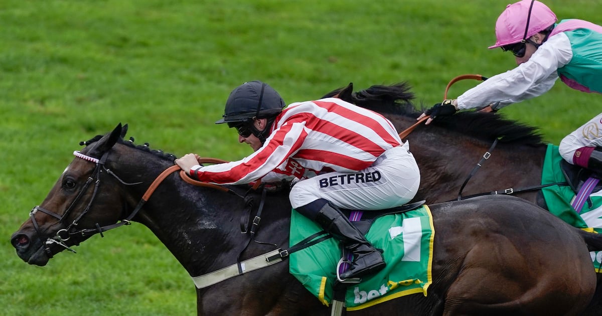 The husband and wife team picked by Bahrain's royal family to transform horse racing in the kingdom