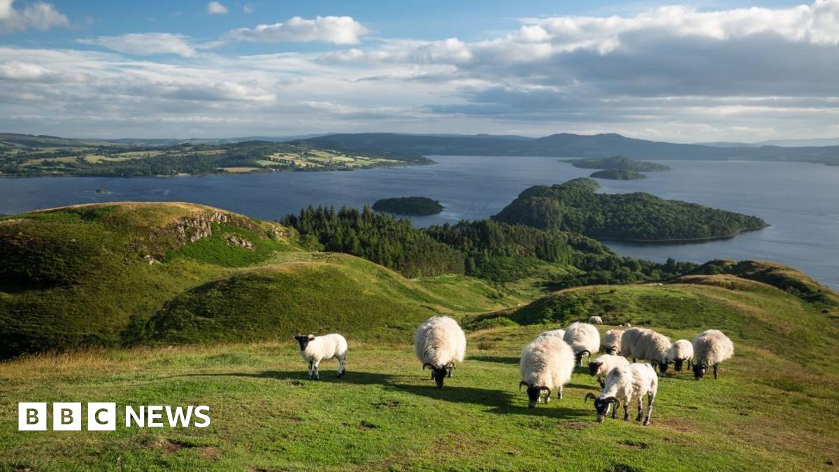Scottish Parliament passes land reform bill