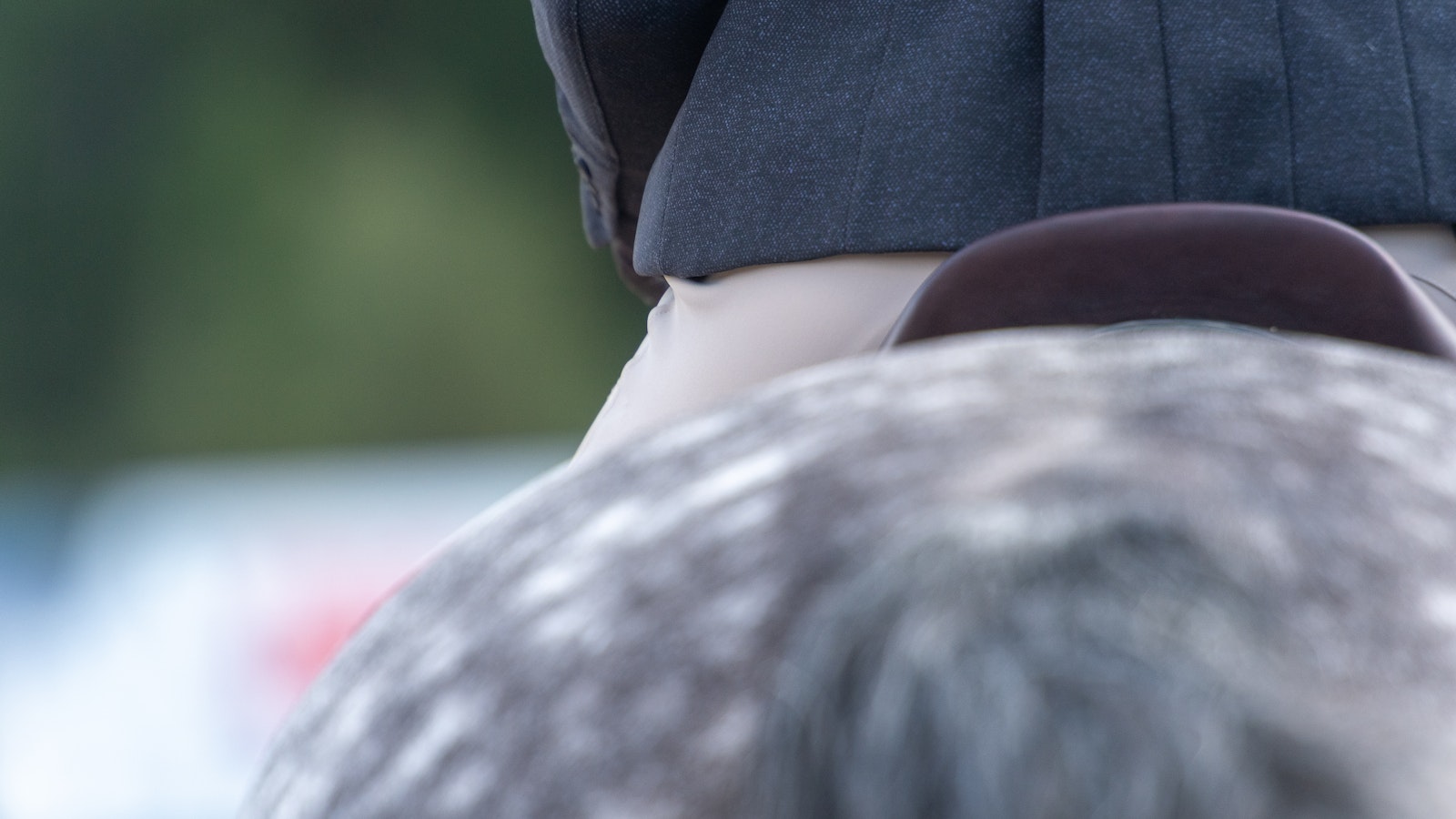 Kansainvälinen ratsastajainliitto päästää venäläiset kilpailuihin – Suomi vastustaa - MT Hevoset