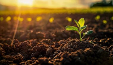 Seeds of Climate Action: How ISF Is Driving Global Agricultural Resilience