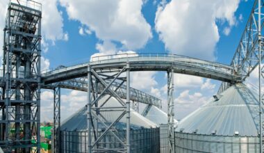 Russian Deputy Agriculture Minister Accused of War Crime Over Stolen Ukrainian Grain