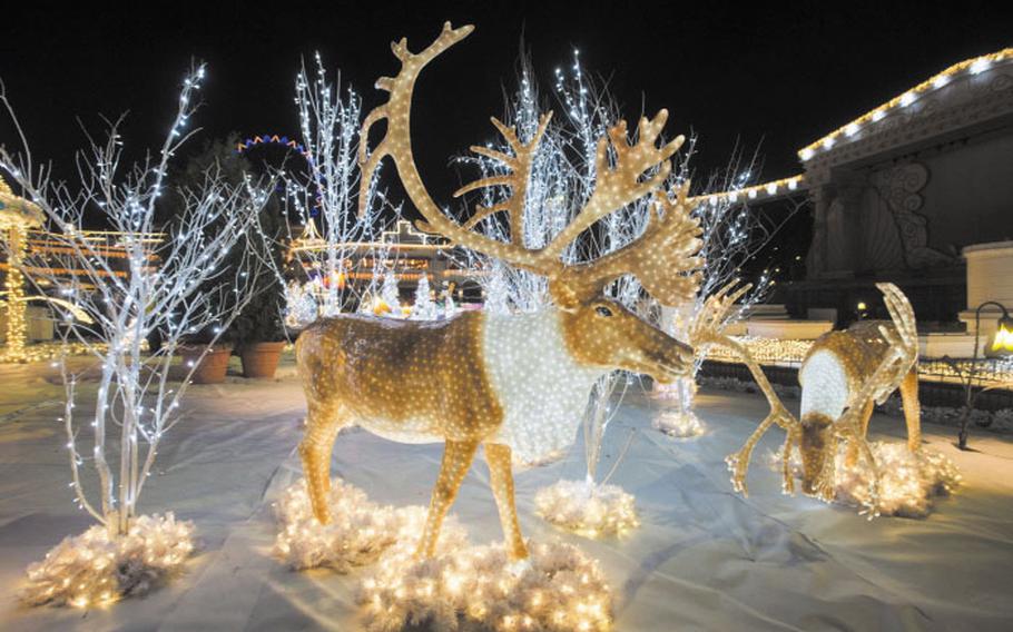  illuminations of reindeers in Everland.
